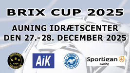 Brix Cup 2025